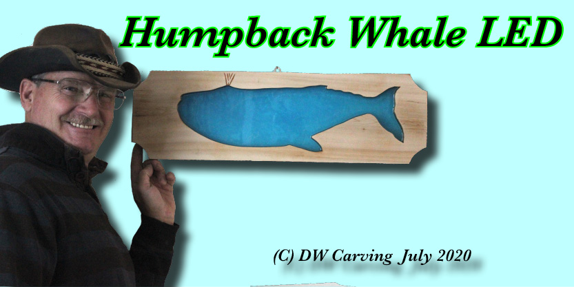 Humpback Whale LED wall mount